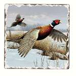 Game Birds Pheasants Tumbled Tile Coasters...