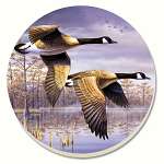 Canadian Geese Coasters Set of 4