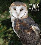 Living Wild Owls-Book - Book