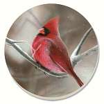 Winter Cardinal Coasters Set of 4