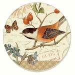 Songbirds Coasters Set of 4