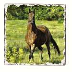 Horsed Tumbled Coasters Set of 4