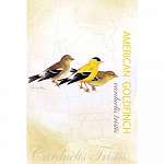 Goldfinch Eco Notes