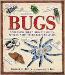 Bugs Pop Up Book