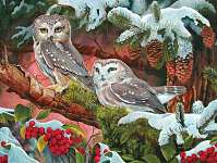 Northern Saw-Whets 500 piece Puzzle