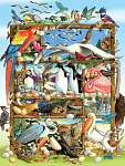 Birds of the World Family 400 piece Puzzle