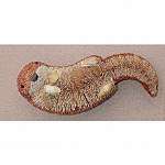 Otter Brown 7 inch brush art dcor