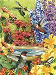 HumBird Garden Puzzle 500 piece Puzzle