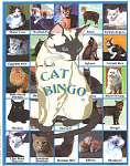 Cat Bingo