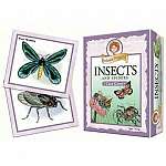 Prof Noggins Insects and Spiders