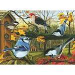 Blue Jay and Friends Puzzle 1000 piece Puzzle