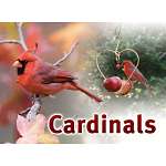 Cardinals Sign