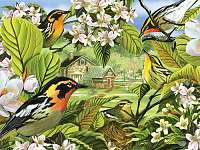 Blackburnian Warblers Puzzle 500 piece Puzzle