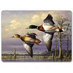 Counter Art Hardboard Table Mats - Set of 2