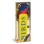 Birds Fandex Family Bird Guide - Book