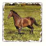 Horses Tumbled Trivet