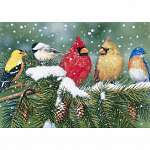 Cardinals and Friends 550 piece Puzzle