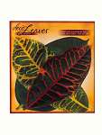 Tropical Deco Parchment Leaves