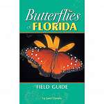 Butterflies  Field Guide - Book