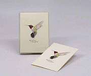 Ruby-throated Hummingbird Notecard Assortment...