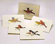 Peterson Bird Notecard Assortment II 2 each...