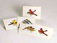 Peterson Bird Notecard Assortment 2 each of 4...