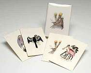 Coastal Bird Notecard Assortment 2 each of 4...