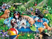 Splish Splash - puzzle