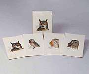 Peterson's Owls Notecard Assortment 2 each of...