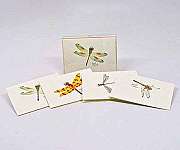 Dragonfly & Damselfly Notecard Assortment...