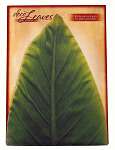 Large Banana Deco Parchment Leaves