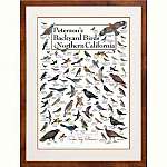 Peterson's Backyard Birds of Northern...