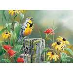 Meadowlark Morning 1000 piece Puzzle