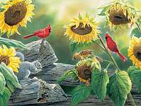 Sunflower Buffet 500 piece Puzzle