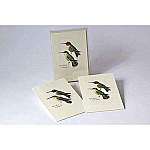 Peterson's Hummingbird Notecard Assortment 4...