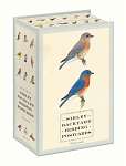 Sibley Backyard Birding Postcards 100 postcards
