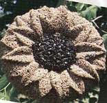 Sunflower Wreath
