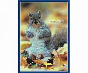 Puzzle, Who Me 500 piece Puzzle