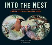 Into The Nest - Book