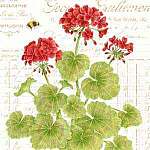 Geranium Flour Sack Towel set of 2
