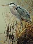 Great Blue Heron 500 piece Puzzle
