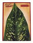 Large Tropical Deco Parchment Leaves