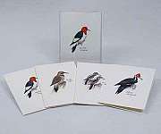 Peterson's Woodpecker Notecard Assortment 2...