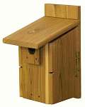 Western Ultimate Bluebird House