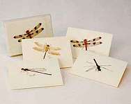 Dragonfly & Damselfly Notecard Assortment...
