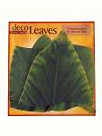 Banana Deco Parchment Leaves