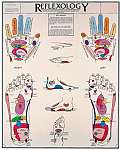 Reflexology Chart Laminated