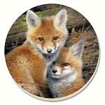 Fox Brothers Coasters Set of 4