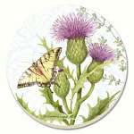 Herb Garden Stone Coasters 4 pack