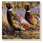 Game Birds Pheasants Coasters Set of 4